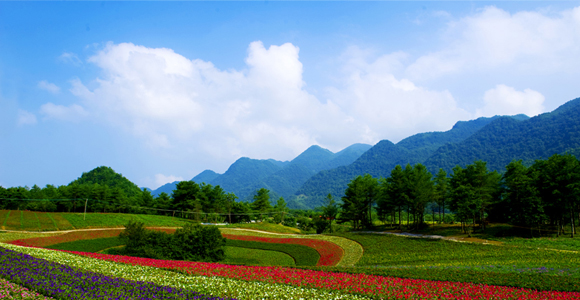 重庆骁战国防教育特训中心红池坝大型露营基地